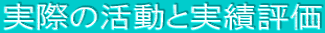 実際の活動と実績評価